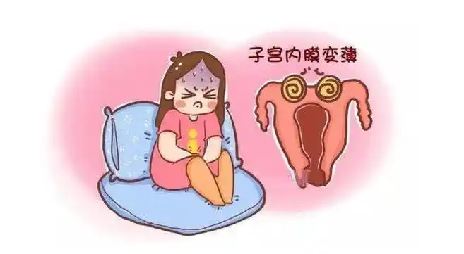 子宫内膜薄吃什么增厚？分享四种疗法赶紧学起来