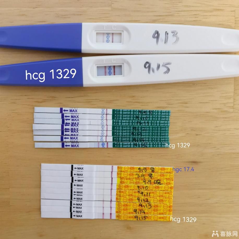 金秀儿验孕棒使用方法介绍