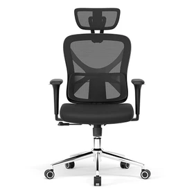 ACGAM-CG-5345M-Ergonomic-Office-Chair-530910