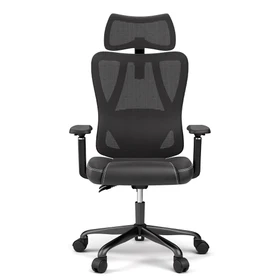 ACGAM-CG-5455M-Ergonomic-Gaming-Office-Chair-527680